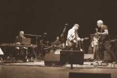 David-Crosby-Live-Milano-Foto-Massimo-Tartara04