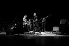 David-Crosby-Live-Milano-Foto-Massimo-Tartara05