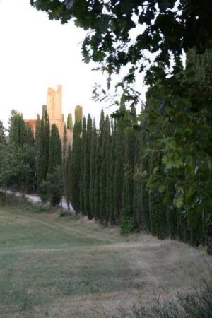Naturalmente-Pianoforte-0010