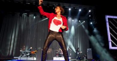 Gianna Nannini Live palasport 20