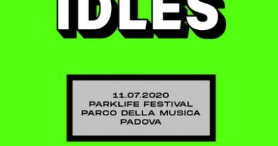 Idles Live 2020