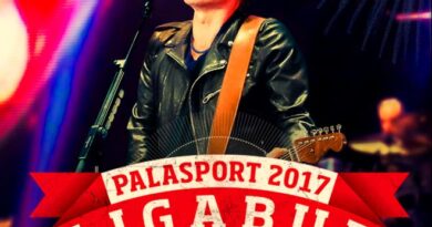 Ligabue_Made In Italy - Palasport 2017_b