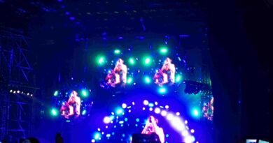 Red Hot Chilli Peppers Live Milano 2017