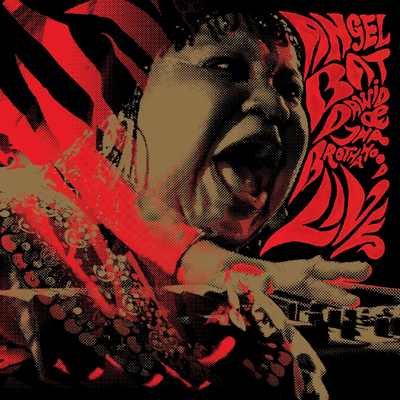 ANGEL BAT DAWID cover cd live