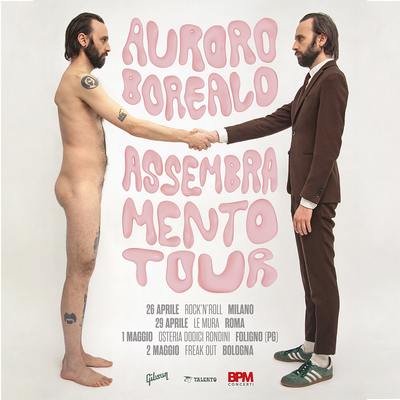Auroro Borealo assembramento tour