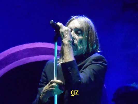 Iggy Pop Live Mantova