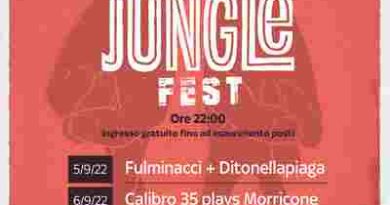 Indie Jungle Fest
