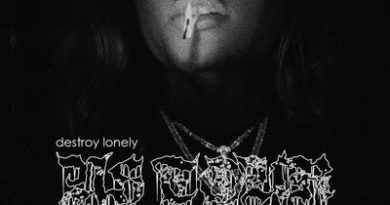 Destroy Lonely