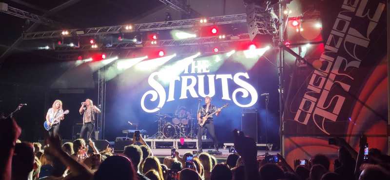 Struts