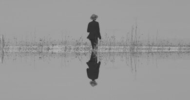 THE VEILS: quattro date in Italia