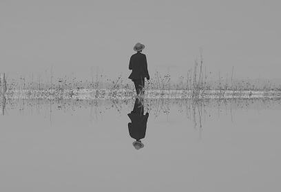 THE VEILS: quattro date in Italia