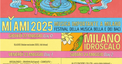 Mi Ami 2025 poster