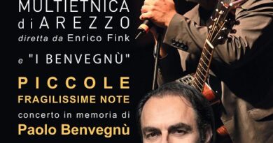 PICCOLE FRAGILISSIME NOTE: concerto per Paolo Benvegnù