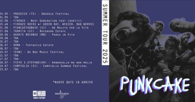 PUNKCAKE: tour estivo