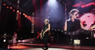 Ligabue recensione e scaletta campovole