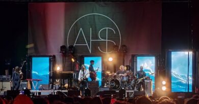 AFTERHOURS Recensione concerto e scaletta live