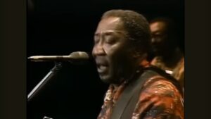 muddy Waters video live della settimana cover