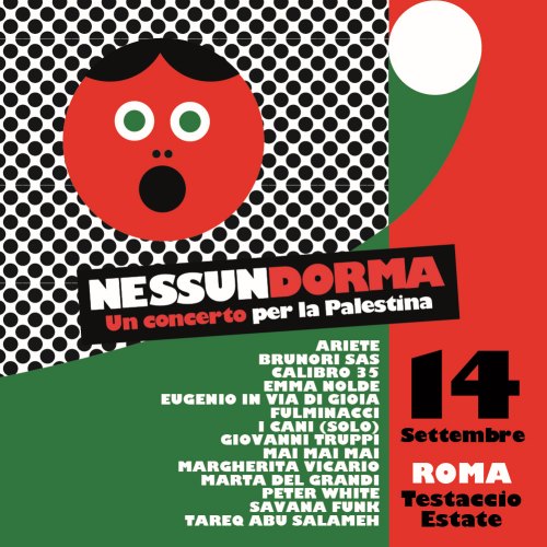 nessun dorma concerto per la palestina